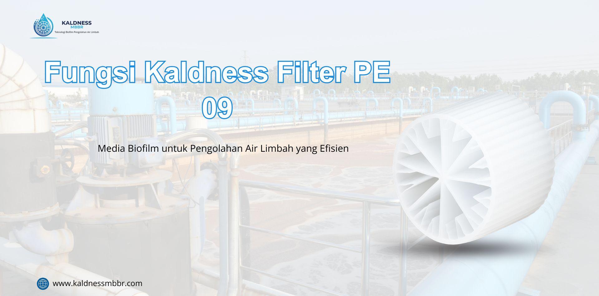 Fungsi Kaldness Filter PE 09